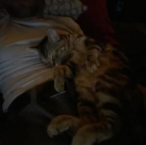 Meet your Posher, Nicholas